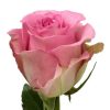 Martina