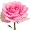 Martina